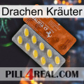 Drachen Kräuter 42